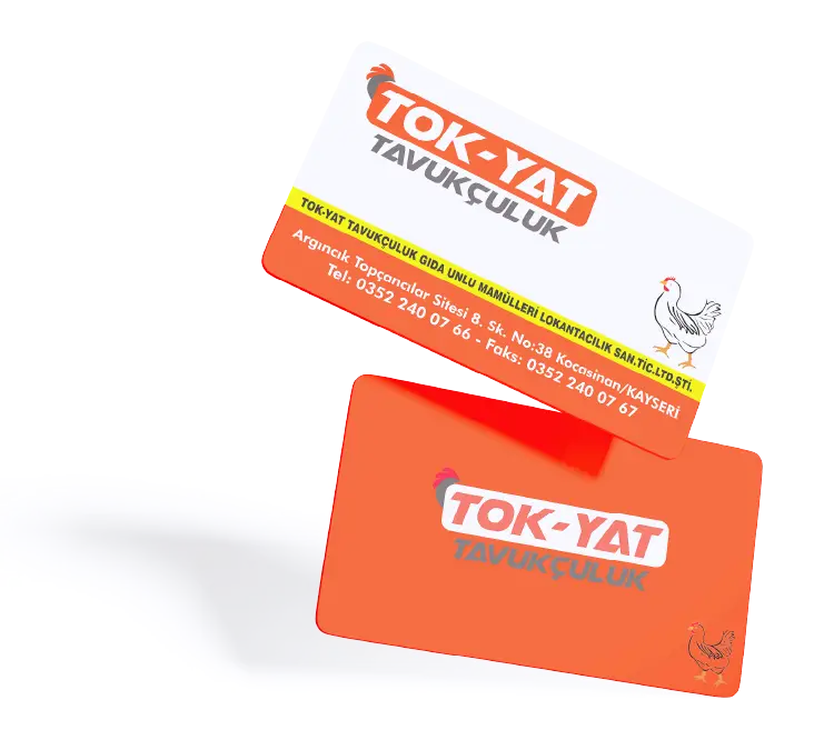 kartvizit bastırma ücretleri : örnek TOK-YAT Tavukçuluk için çift yüzlü kartvizit tasarımı: beyaz ön yüzünde iletişim bilgileri, turuncu arka yüzünde logo ve tavuk illüstrasyonu